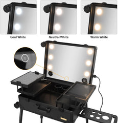 Aluminum Professional Rolling Cosmetic Makeup Trolley Train Case Mirror LED Light (Black)
