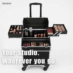 Professional Rolling Makeup Trolley Case (3599/BS)